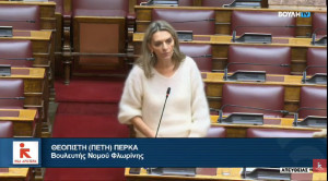 Πέτη Πέρκα: Όσοι απεργάζονται σενάρια μείωσης του ποσοστού του δημοσίου στον ΑΔΜΗΕ, λειτουργούν εις βάρος του δημοσίου συμφέροντος