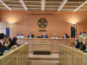 Ψήφισμα του ΔΣ του Δήμου Αθηναίων για σχέδιο νόμου Υπουργείου Περιβάλλοντος