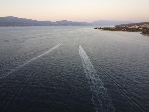 Η Ευρωπαϊκή Επιτροπή λαμβάνει περαιτέρω μέτρα για την προστασία της βιοποικιλότητας στην ανοικτή θάλασσα