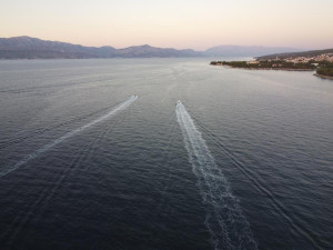 Η Ευρωπαϊκή Επιτροπή λαμβάνει περαιτέρω μέτρα για την προστασία της βιοποικιλότητας στην ανοικτή θάλασσα