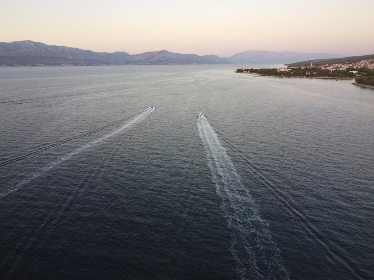 Η Ευρωπαϊκή Επιτροπή λαμβάνει περαιτέρω μέτρα για την προστασία της βιοποικιλότητας στην ανοικτή θάλασσα