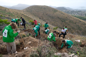 To WWF Ελλάς και ο Τ.Ο.Ε.Β. Ταυρωπού οργανώνουν δράση δενδροφύτευσης στην Καρδίτσα