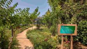 Νέο ΔΕΗ Mini Park στον Δήμο Αμαρουσίου