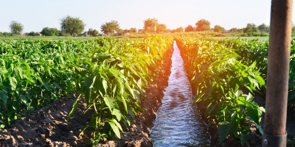 Νέα ομιλία του Προστασία της Φύσης Lab με τίτλο: Πώς το νερό γίνεται καθοριστικό για τη γεωργία του μέλλοντος