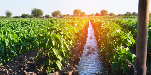 Νέα ομιλία του Προστασία της Φύσης Lab με τίτλο: Πώς το νερό γίνεται καθοριστικό για τη γεωργία του μέλλοντος