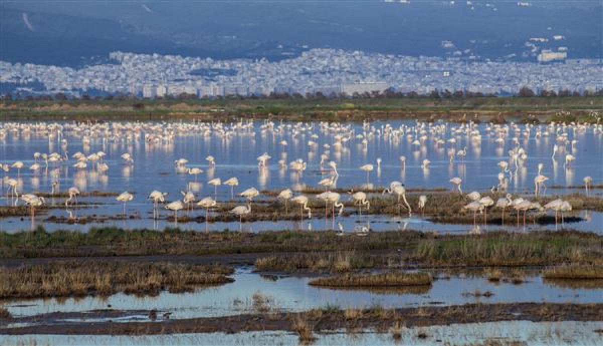 Σ. Φάμελλος: “Μαχαιριά της κυβέρνησης στο Εθνικό Πάρκο Αξιού”