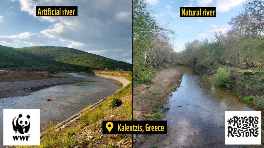 Νέα Έκθεση του WWF: “Rivers2Restore”