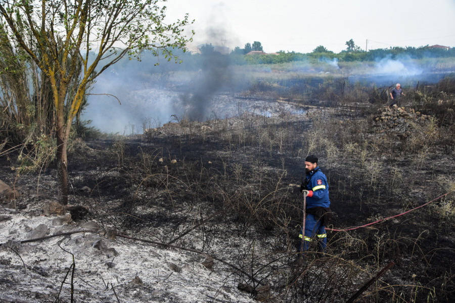 WWF: Η προδιαγεγραμμένη καύση ως εργαλείο πρόληψης στις δασικές πυρκαγιές