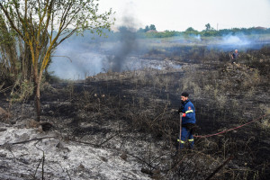 WWF: Η προδιαγεγραμμένη καύση ως εργαλείο πρόληψης στις δασικές πυρκαγιές