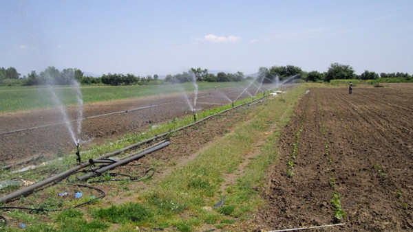 Ενεργειακή Αγροτική Κοινότητα στη Θεσσαλία για μειωμένο ρεύμα σε χιλιάδες αγρότες