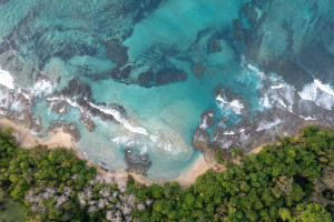 Νέα έκθεση του WWF: 10 βασικές αρχές για την αποκατάσταση των θαλάσσιων και παράκτιων οικοσυστημάτων στην Ε.Ε.