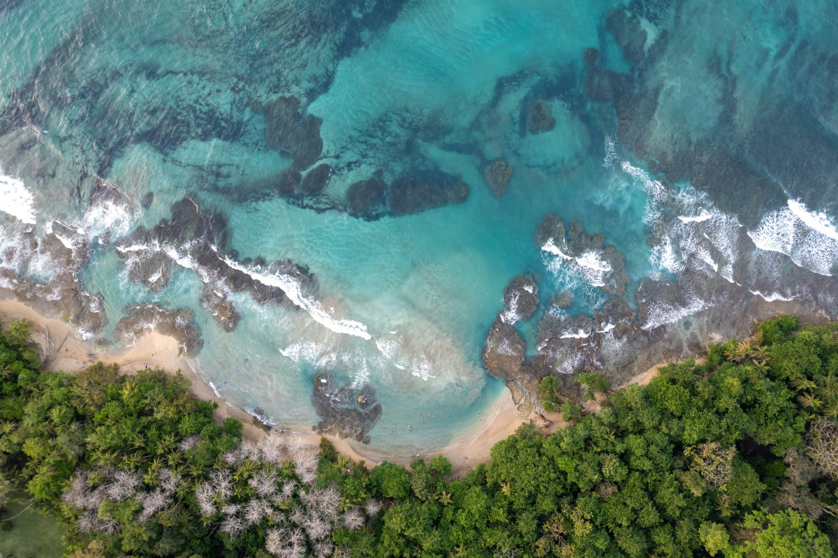 Νέα έκθεση του WWF: 10 βασικές αρχές για την αποκατάσταση των θαλάσσιων και παράκτιων οικοσυστημάτων στην Ε.Ε.