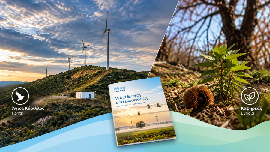 WindEurope: Δύο έργα της Principia στις ευρωπαϊκές καλές πρακτικές για τη βιοποικιλότητα