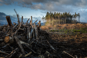 Έκθεση Σύνθεσης UNFCCC: Η COP28 πρέπει να ανταποκριθεί στην ανάγκη και θέληση του κόσμου για κλιματική δράση