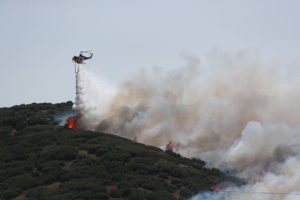 Πυρκαγιά στο Περιβαλλοντικό Πάρκο Δερβενίου