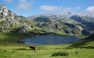 Η περιβαλλοντική πολιτική της ΝΔ οδηγεί με μαθηματική ακρίβεια τη χώρα σε νέα καταδίκη από την ΕΕ και σε επιβολή προστίμων