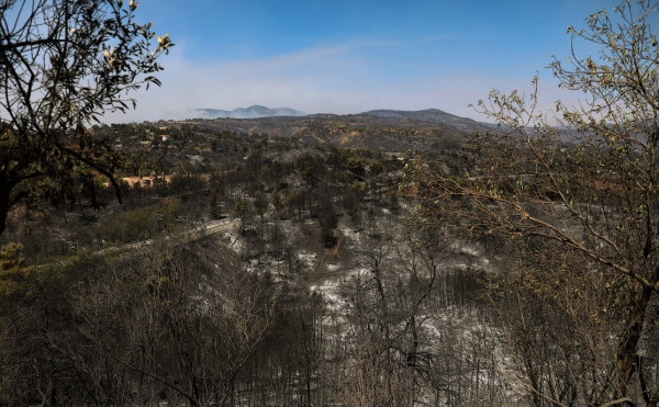 ΥΠΕΝ: Σε ποιο σημείο βρίσκονται τα έργα στις πυρόπληκτες περιοχές της Β. Εύβοιας