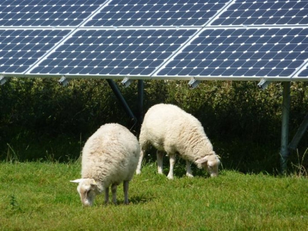 Καλάβρυτα: Μικρά Πάρκα Φωτοβολταϊκών για ρεύμα στην Κτηνοτροφία