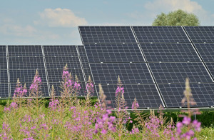 Green Tank: Κοντά στο «ορόσημο» του 1 GW η αυτοπαραγωγή
