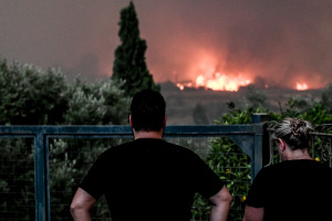 Γιάννης Τριήρης: Εκ του αποτελέσματος, αποτυχία και στην δασοπροστασία και δασοπυρόσβεση