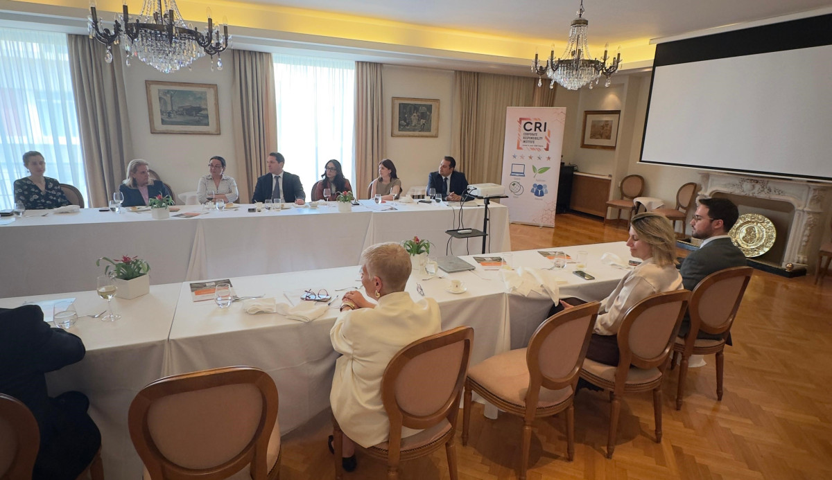 3ο CRI Lunch Discussion: Βέλτιστες πρακτικές προς τη Βιωσιμότητα για τον Δημόσιο Τομέα και τις Μικρομεσαίες επιχειρήσεις