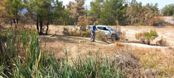 ΥΠΕΝ: Δράσεις προστασίας της άγριας πανίδας