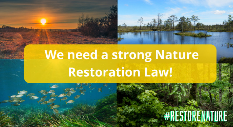 GreenTank: Νόμος για την Αποκατάσταση της Φύσης: 200 οργανώσεις ζητούν ισχυρό νομοθετικό πλαίσιο