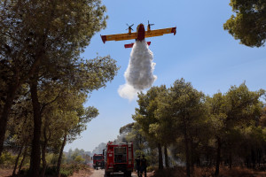 Τι κάηκε από την φωτιά στην Κερατέα - Η ανάλυση της Υπηρεσίας Copernicus για την πληγείσα έκταση