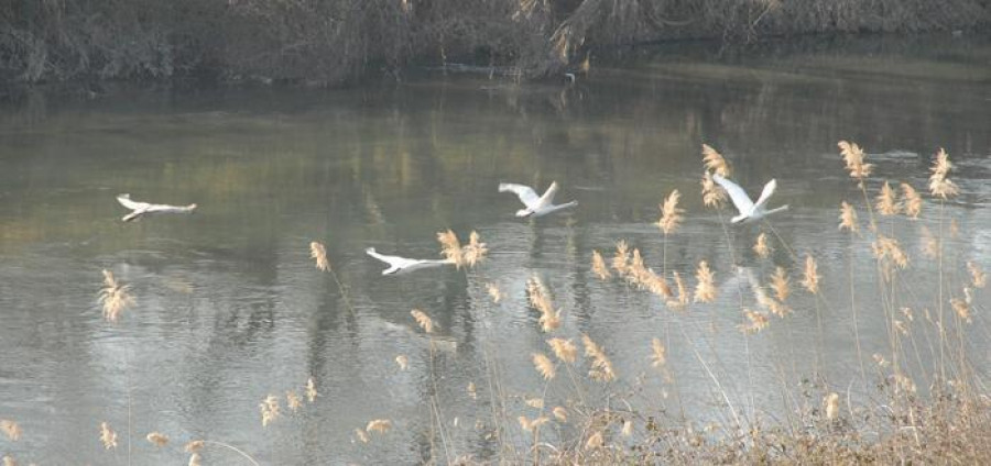 Ξεκίνησε η δημόσια διαβούλευση για το σχέδιο Π.Δ. Αξιού