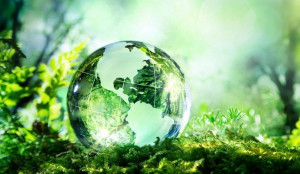 Συγκεντρώσεις σε 21 πόλεις για τον περιβαλλοντικό νόμο
