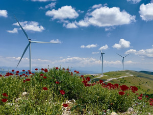 Υπόμνημα για το Σχέδιο Νόμου του ΥΠΕΝ για την ενσωμάτωση της Οδηγίας REDIII