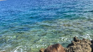 Digital Realty και Schneider Electric ενώνουν δυνάμεις για την προστασία της μεσογειακής φώκιας (Monachus Monachus)