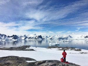Οι Πάγοι στην Ανταρκτική Συρρικνώθηκαν Φέτος Περισσότερο από Ποτέ