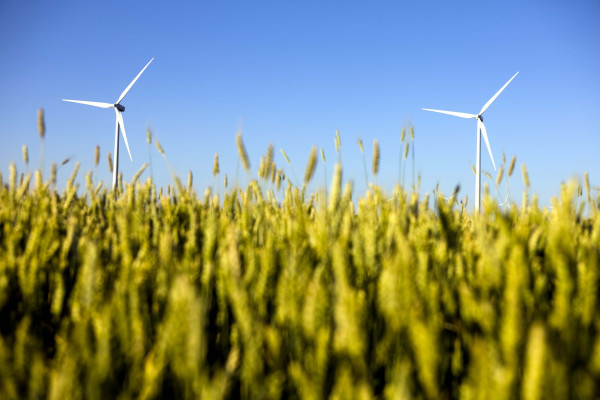 Σχόλια και προτάσεις του Green Tank στην ακρόαση φορέων για το Πολυνομοσχέδιο του ΥΠΕΝ