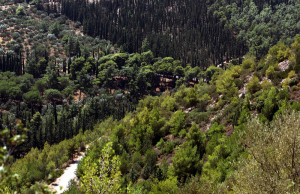 Εκτίμηση περιβαλλοντικών επιπτώσεων: Η Κομισιόν παραπέμπει την Ελλάδα στο Δικαστήριο της ΕΕ