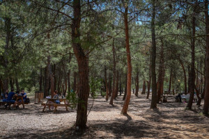 Περιφέρεια Θεσσαλίας: Σε κατάσταση «υψηλού κινδύνου πυρκαγιάς» κατηγορίας 3