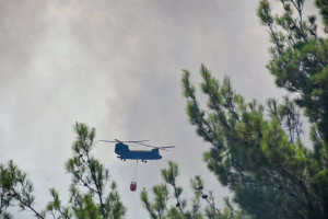 ΣΥΡΙΖΑ-ΠΣ: Άμεση αναβάθμιση της παρέμβασης της πολιτείας για την κατάσβεση της πυρκαγιάς στη Δαδιά