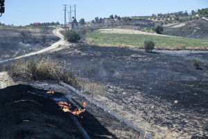 Γιάννης Τριήρης: Διπλή φωτιά για τους Έλληνες – Στα δάση και στις τσέπες