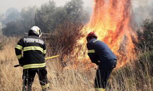 Αμυράς για δάσος Δαδιάς: Η κυβέρνηση έδωσε 500.000 ευρώ για πυρασφάλεια