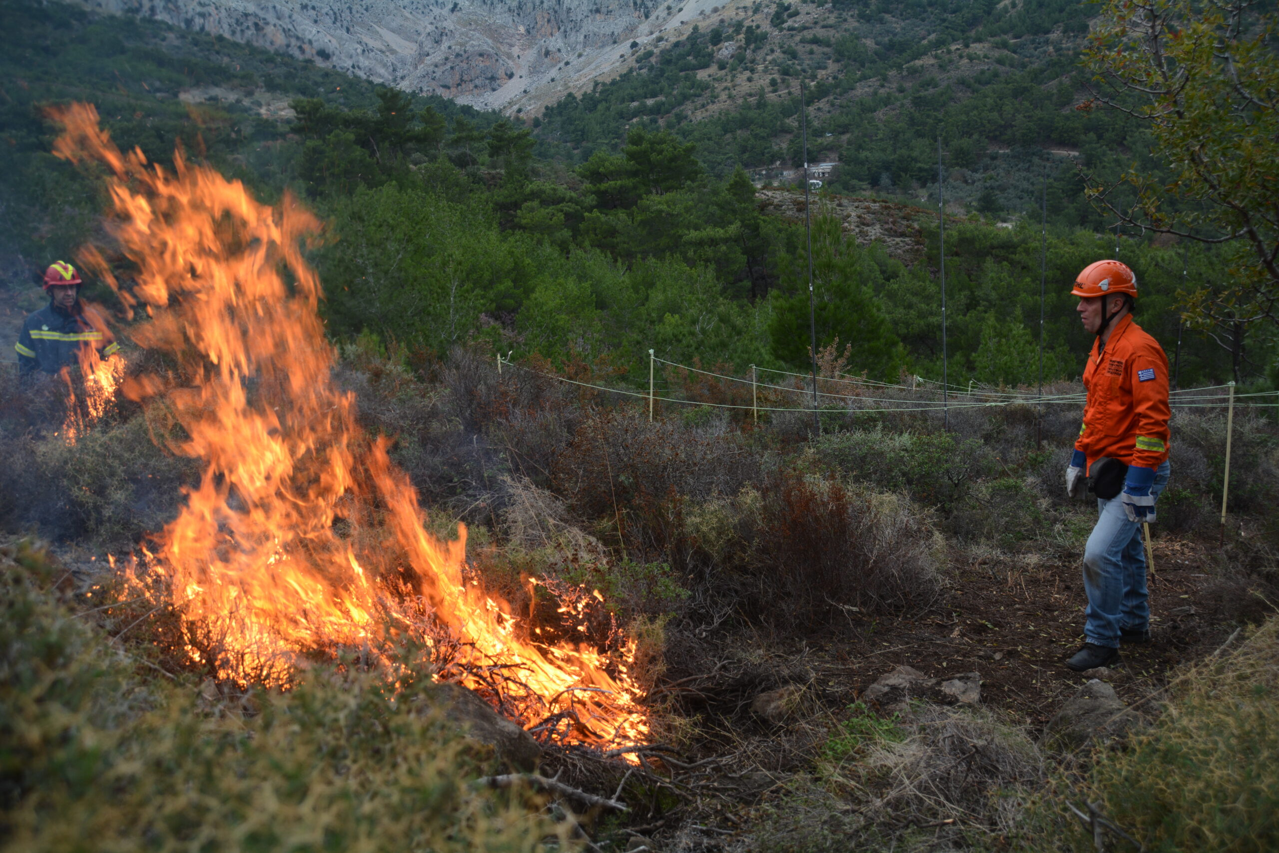 Πρόληψη δασικών πυρκαγιών στην πράξη