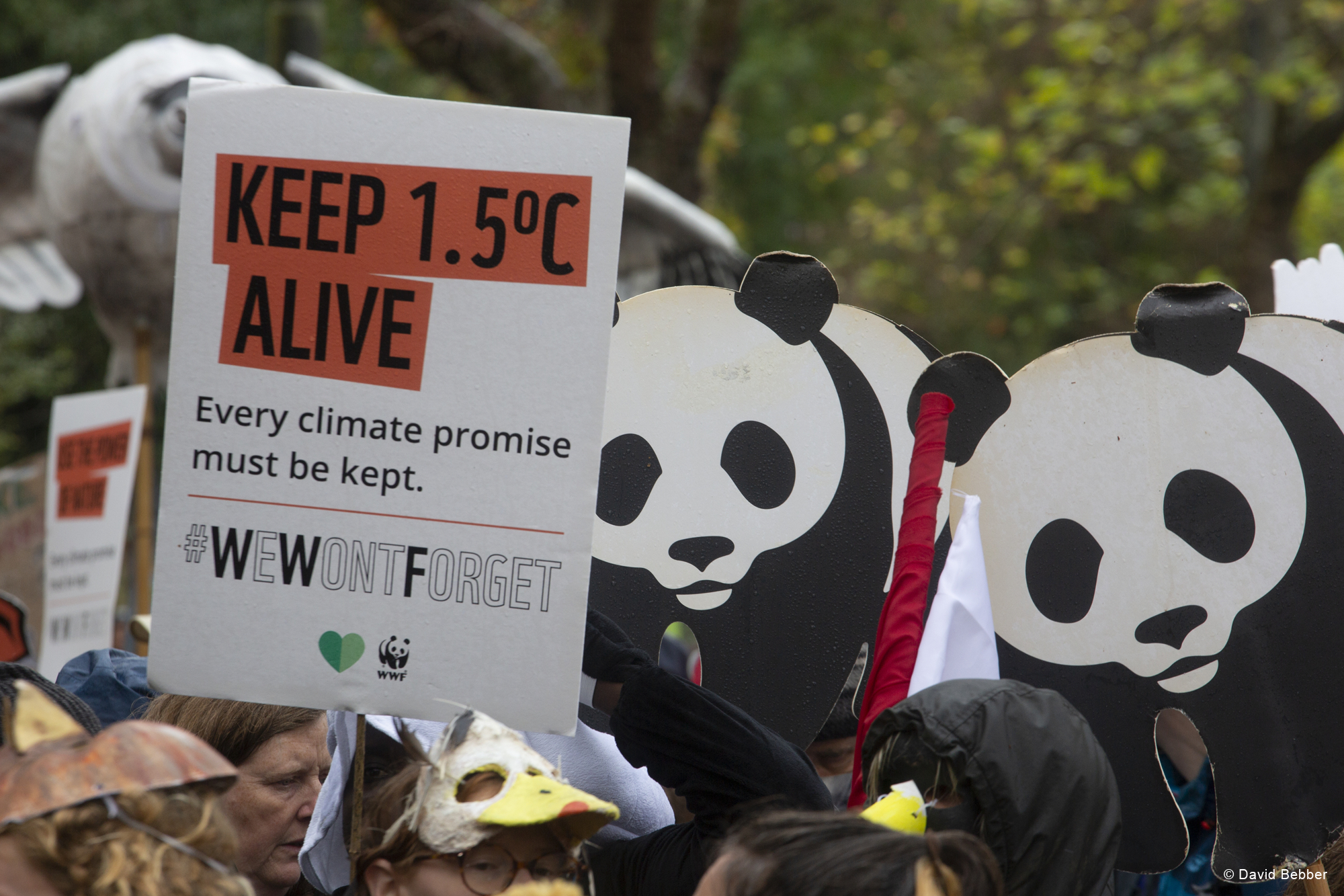 WWF για COP26: Απογοήτευση αλλά και χαραμάδα για δράση