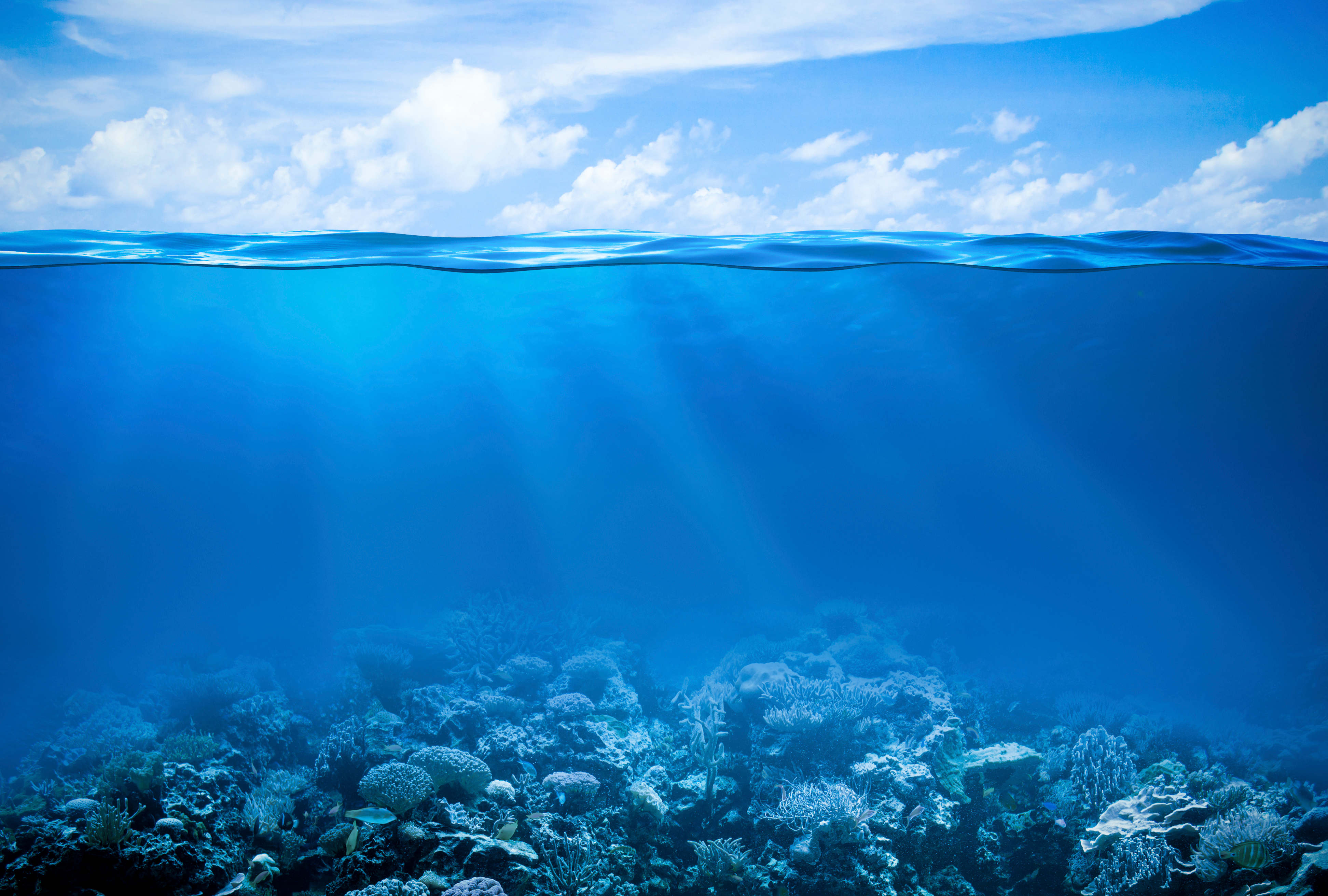 Η άνοδος της θερμοκρασίας των ωκεανών ισοδυναμεί με ενέργεια τουλάχιστον μιας ατομικής βόμβας ανά δευτερόλεπτο